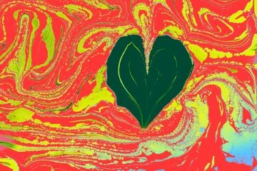 Lorazepam Para Ansiedad en Trastornos Cardiovasculares