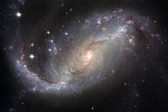 Cuando el cerebro y el universo se miran en el mismo espejo