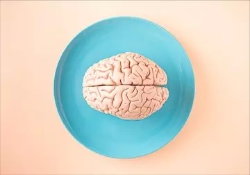 Brodmann Areas: Brain Functions