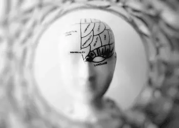 La teoría del cerebro triuno