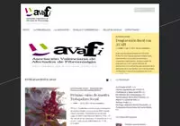 Imagen de la Web