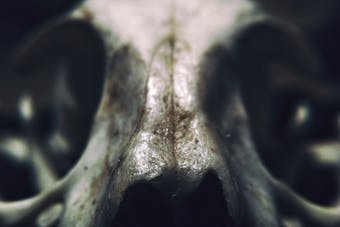 How to Face the Fear of Death and Existential Anxiety with Acceptance and Commitment Therapy